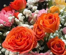 九游体育：篮球与时尚的未来：如何更好地融合，引领运动潮流？的简单介绍