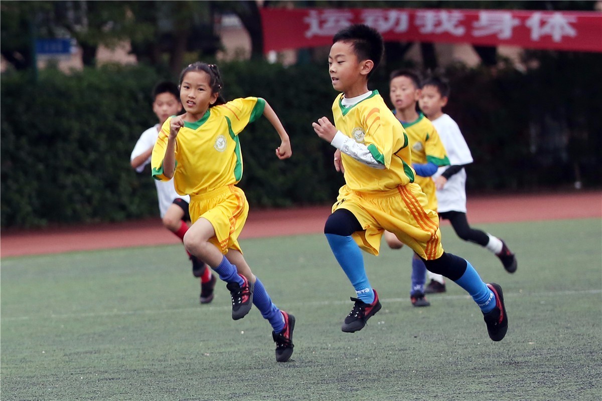 包含九游体育:意甲的改革之路：如何面对现代足球的挑战的词条