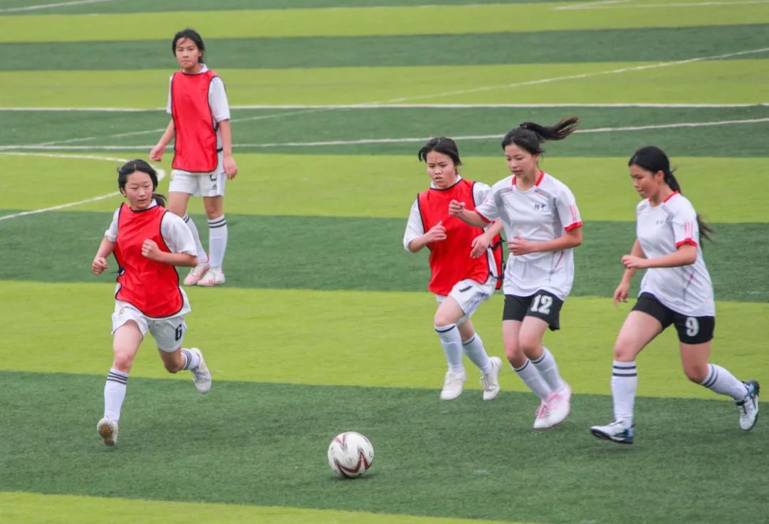 关于九游体育:中国足球青训基地的可持续运营模式研究的信息