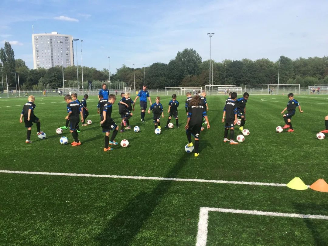 九游体育:中国足球青训教练员的胜任力模型构建与评估