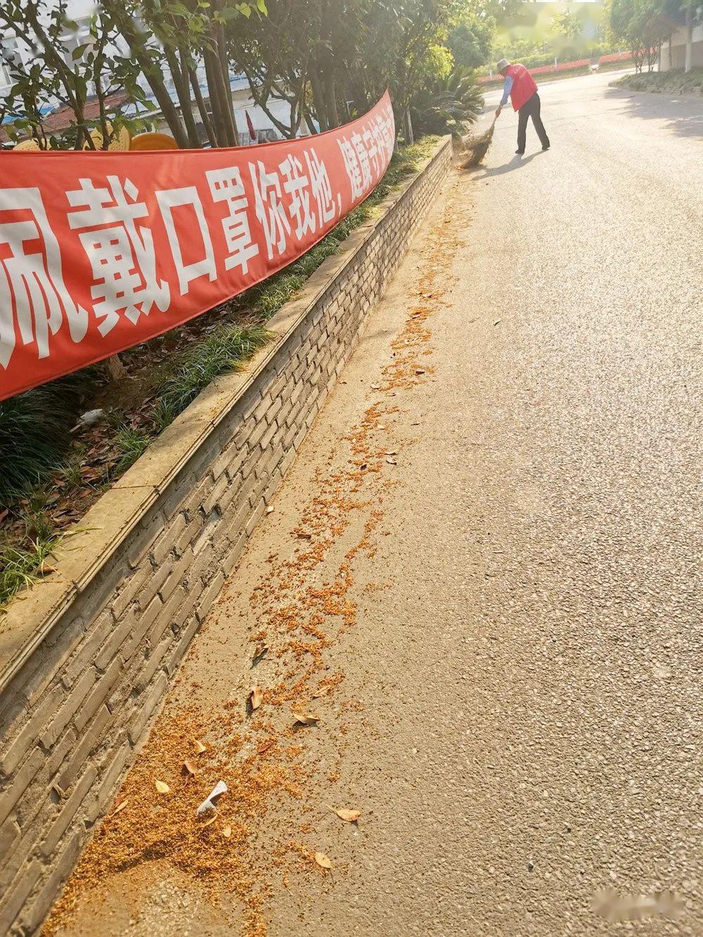 九游体育:篮球公园建设如火如荼,全民健身氛围日益浓厚 九游体育:篮球公园建设如火如荼,全民健身氛围日益浓厚